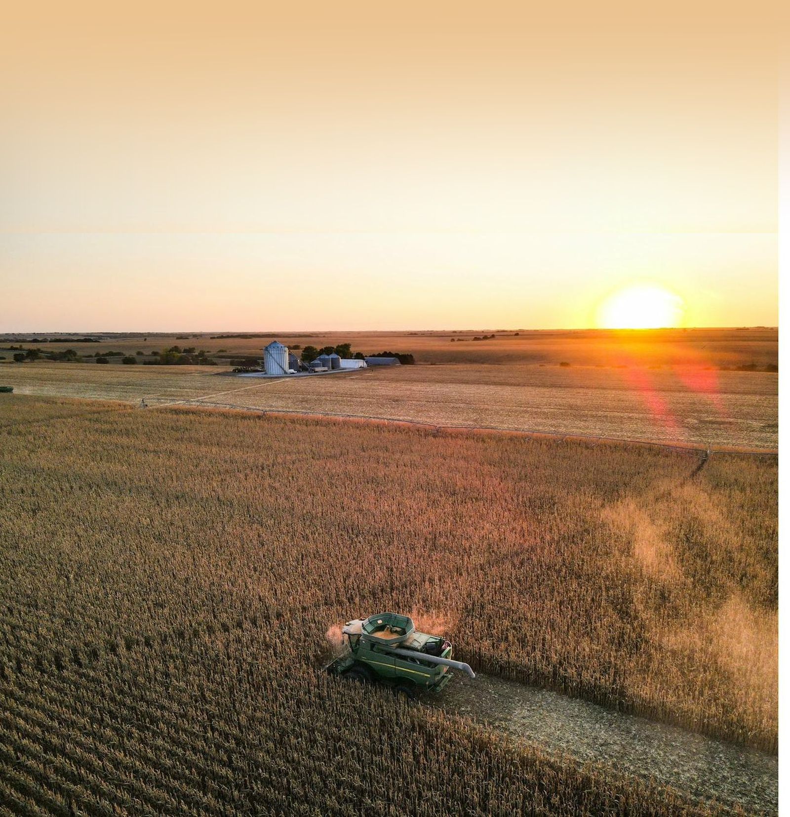 Sunset harvest across golden fields
